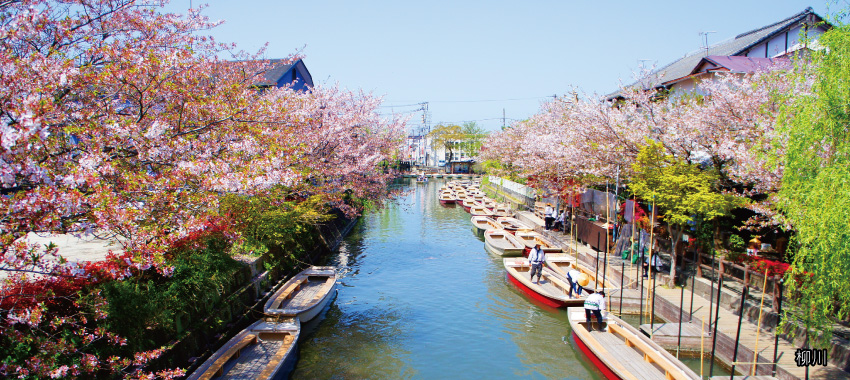 柳川遊船 櫻花.jpg
